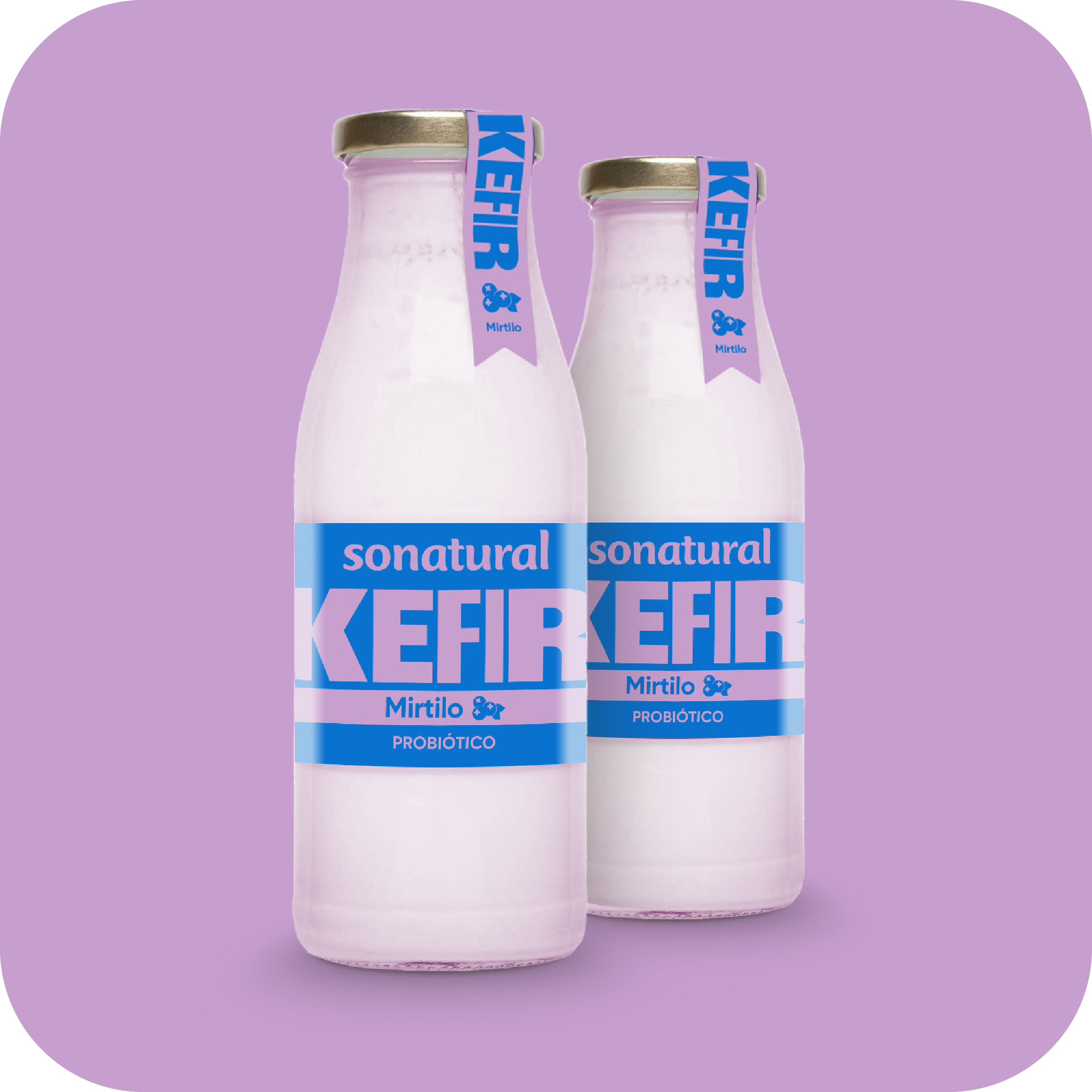 Bilberry Kefir to drink Sonatural 500g x2