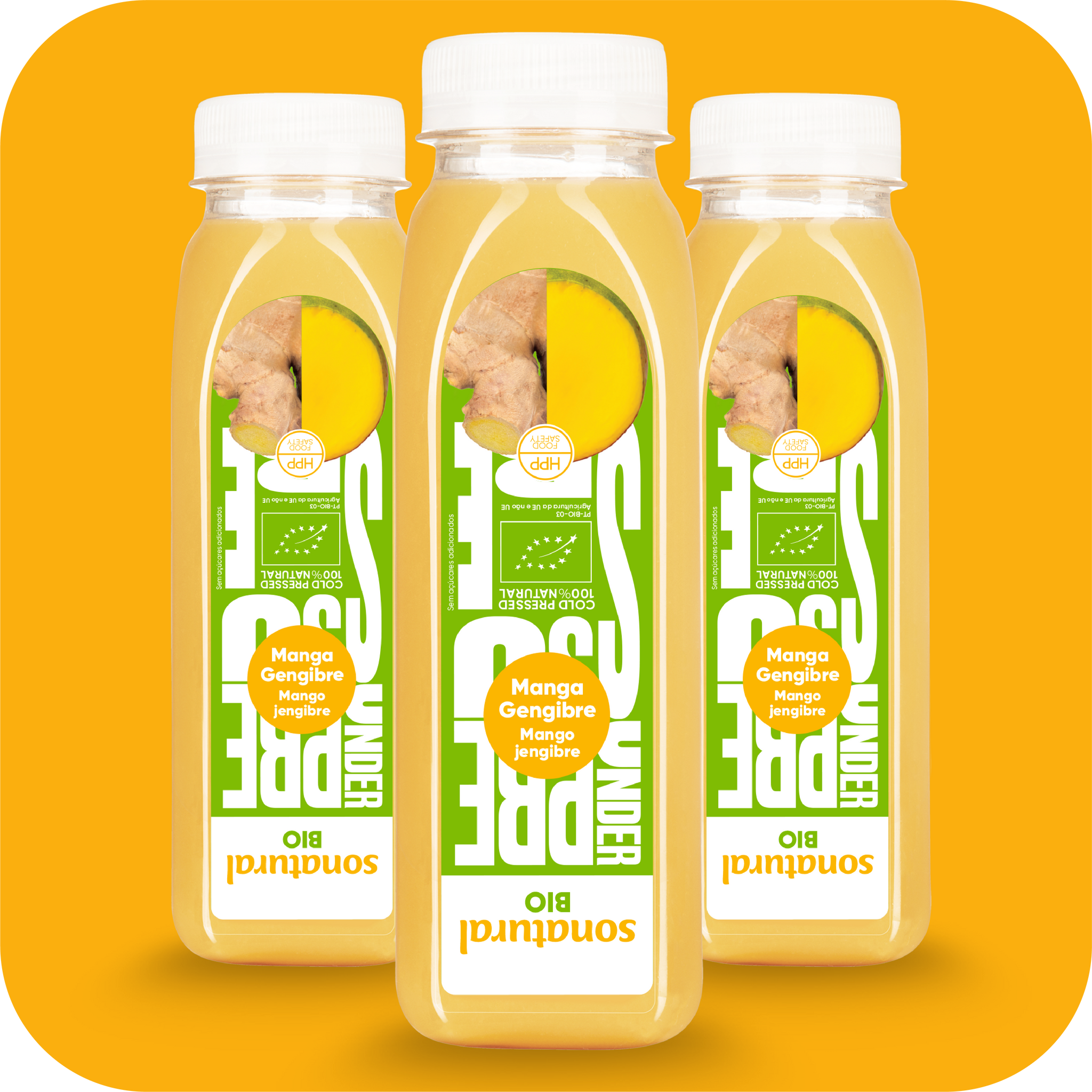 Bio Mango Ginger Juice 250ml x3