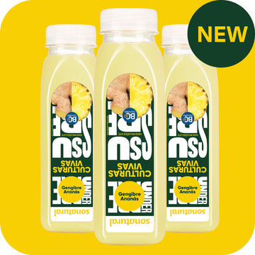 Pineapple Ginger Juice with Live Cultures 250ml x3